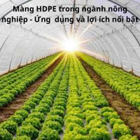 Màng HDPE trong nông nghiệp - Ứng dụng & lợi ích nổi bật