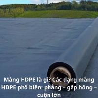 Màng HDPE là gì? Các dạng màng HDPE phổ biến: phẳng – gấp hông – cuộn lớn